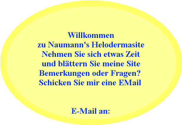 Willkommen  zu Naumann's Helodermasite  Nehmen Sie sich etwas Zeit  und blÃ¤ttern Sie meine Site  Bemerkungen oder Fragen?   Schicken Sie mir eine EMail       E-Mail an: