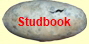 Studbook