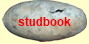 studbook